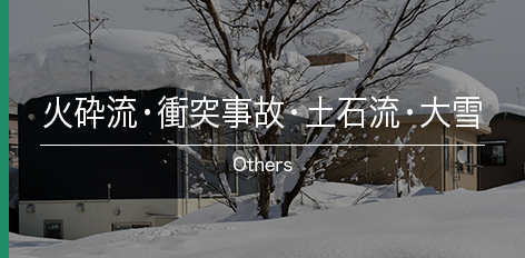 火砕流・衝突事故・土石流・大雪 Others